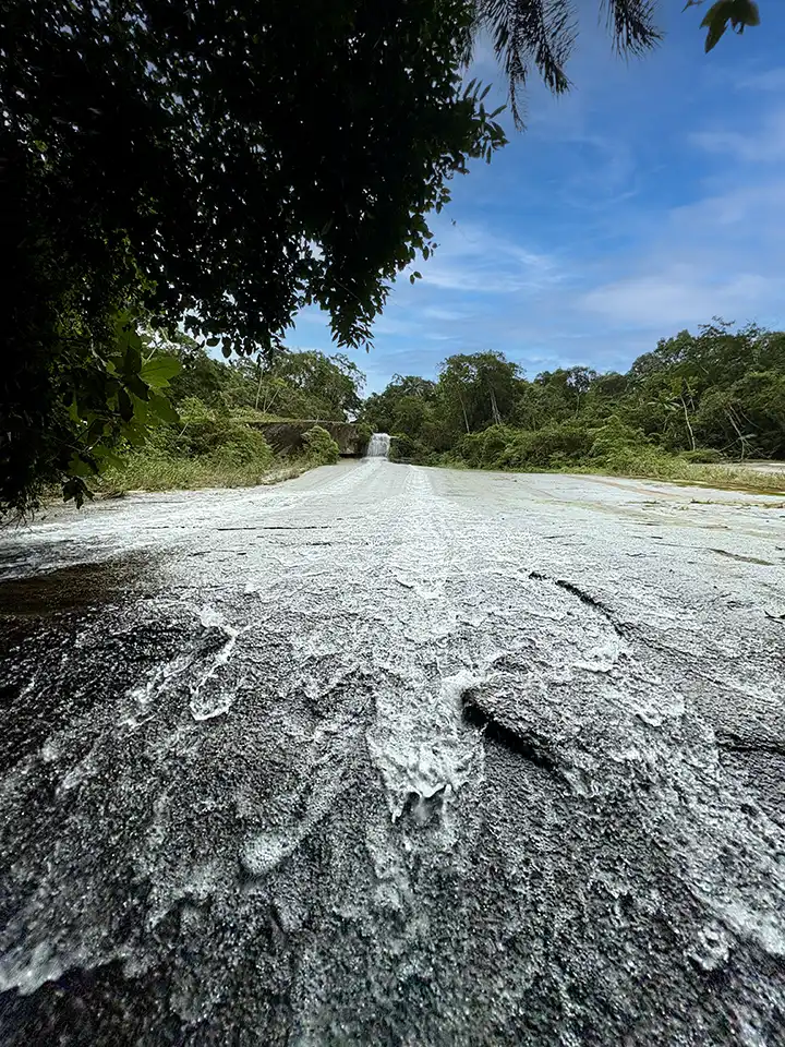 Trilha da Cachoeira da Torre 47